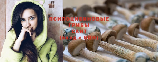 МДПВ Абинск