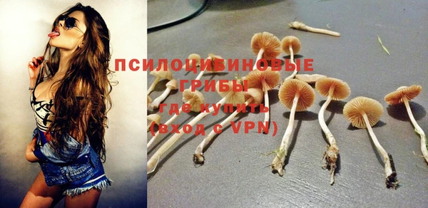 крисы Алзамай