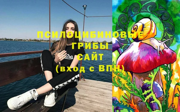 спиды Няндома