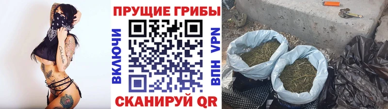 Псилоцибиновые грибы мухоморы  магазин  наркотиков  Зеленодольск 