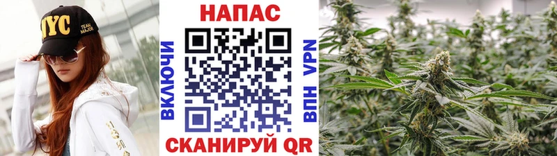 Бошки марихуана марихуана Зеленодольск